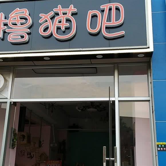 皇宠撸猫吧:深圳市龙华区龙华富士康附近