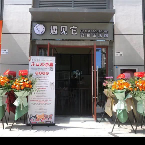 遇见它宠物生活馆(坪山店):深圳市坪山区坑梓/竹坑附近
