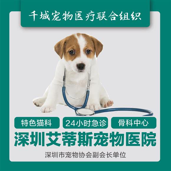 艾帝斯宠物医院(公明店):深圳市光明区公明附近