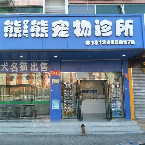 熊熊宠物诊所:深圳市光明区公明附近