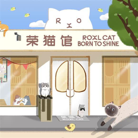 荣猫馆Royalcat(玖洲道店):珠海市香洲区拱北附近