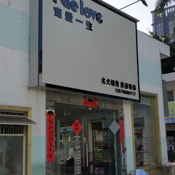 宠爱一生:珠海市香洲区拱北附近