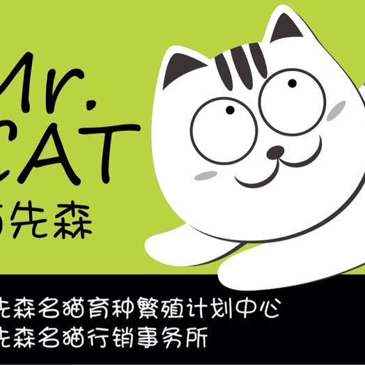 喵先森宠物店:珠海市香洲区拱北附近