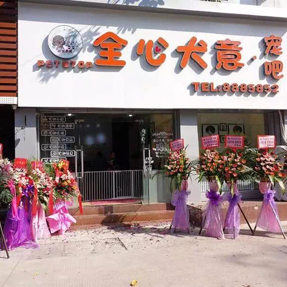 全心犬意·宠吧(拱北店):珠海市香洲区拱北附近