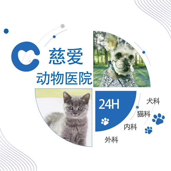 慈爱动物医院:珠海市香洲区新香洲附近