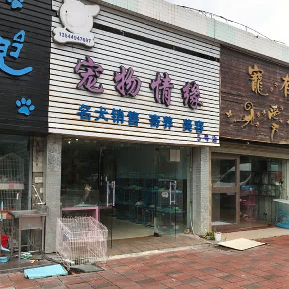 宠物情缘(5号店):珠海市香洲区夏湾附近