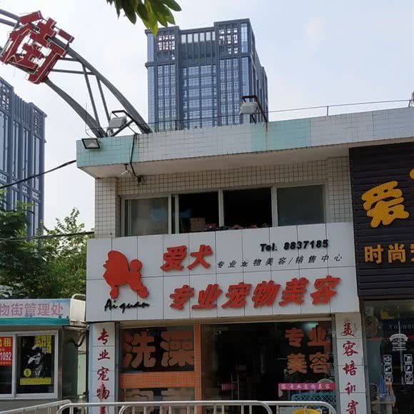 爱犬宠物店:珠海市香洲区夏湾附近