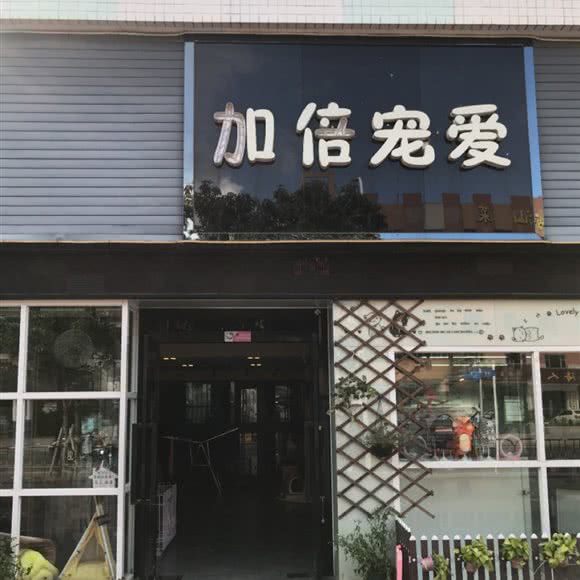 加倍宠爱:珠海市香洲区夏湾附近