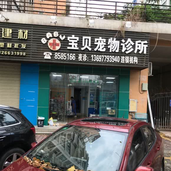 宝贝宠物诊所:珠海市香洲区夏湾附近