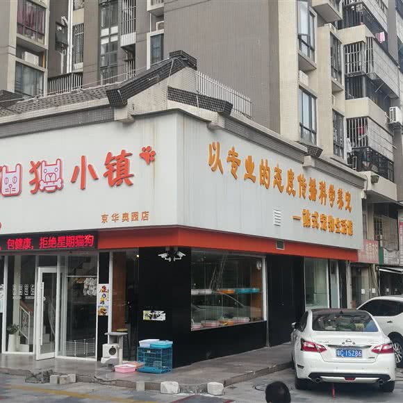 猫猫小镇:珠海市香洲区前山附近
