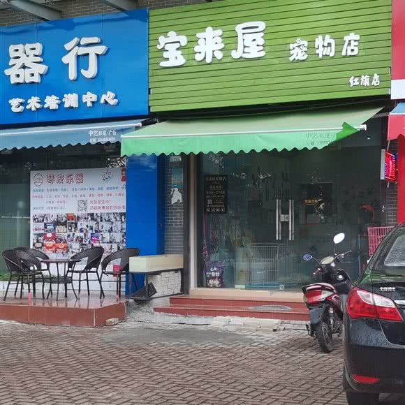 宝来屋宠物店(红旗店):珠海市金湾区红旗镇附近