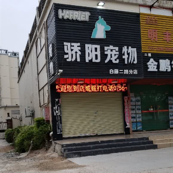 骄阳宠物(白藤二路店):珠海市金湾区红旗镇附近