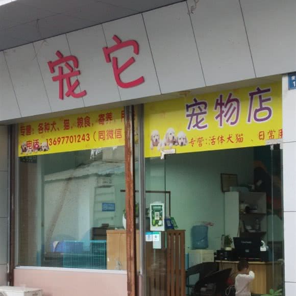 宠它宠物店:珠海市金湾区海泉湾度假区附近