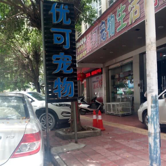 优可宠物:汕头市龙湖区外砂附近