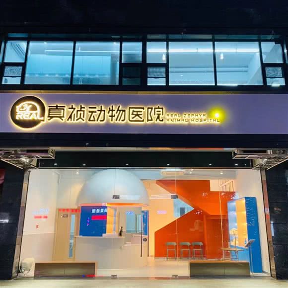 真祯动物医院:汕头市龙湖区长平新一城附近