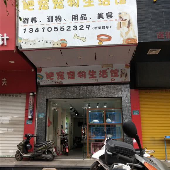 肥宠宠物生活馆:汕头市金平区广厦新城附近