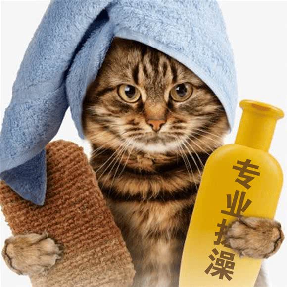 鼠格狗狗:汕头市金平区中山公园附近