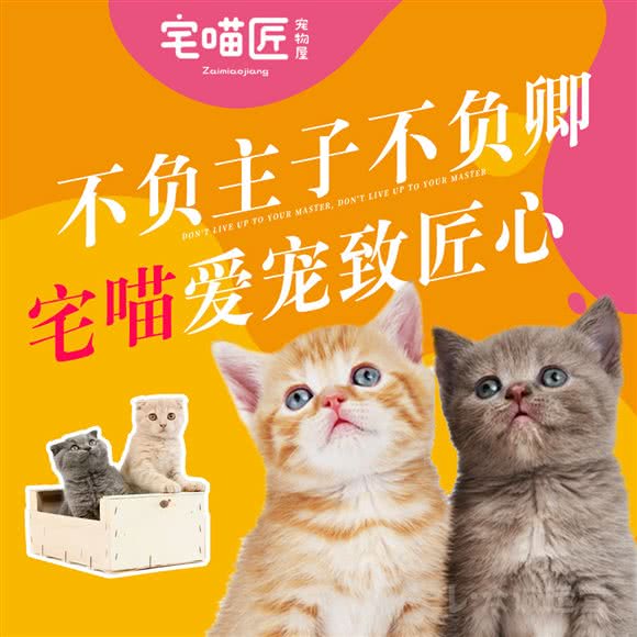 宅喵匠宠物酒店:汕头市金平区龙眼南路附近