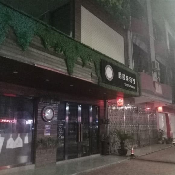哈喽宠物社:汕头市潮南区潮南区中心城区附近