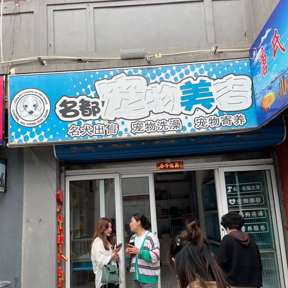 名都宠物美容:天津城区滨海新区塘沽城区附近