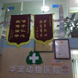 华宠动物诊所:佛山市禅城区季华园附近