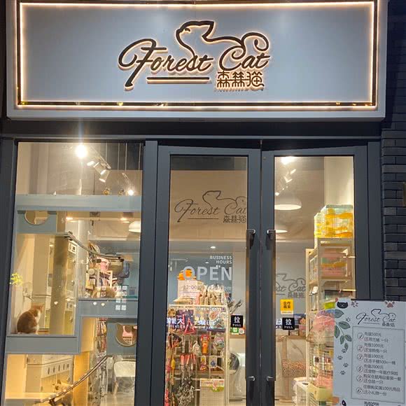 Forest Cat森林猫宠物店:佛山市禅城区祖庙附近