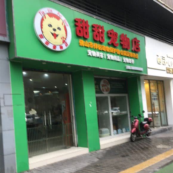 甜甜宠物店:佛山市禅城区祖庙附近