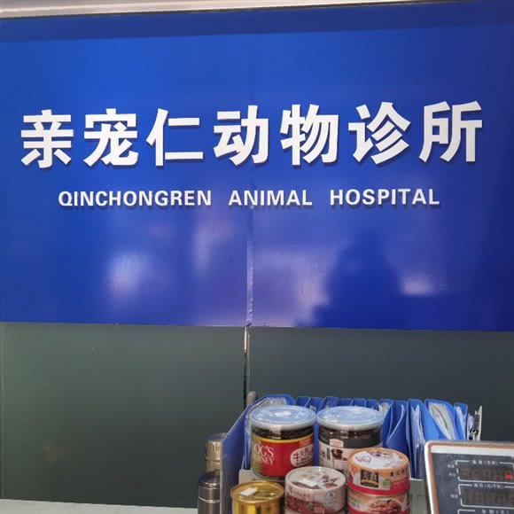 亲宠仁宠物诊所:佛山市禅城区祖庙附近