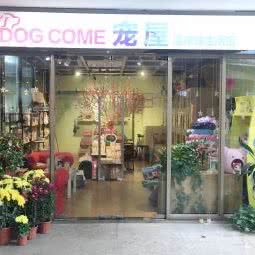 Dog come宠屋:佛山市禅城区普君新城/市政府附近