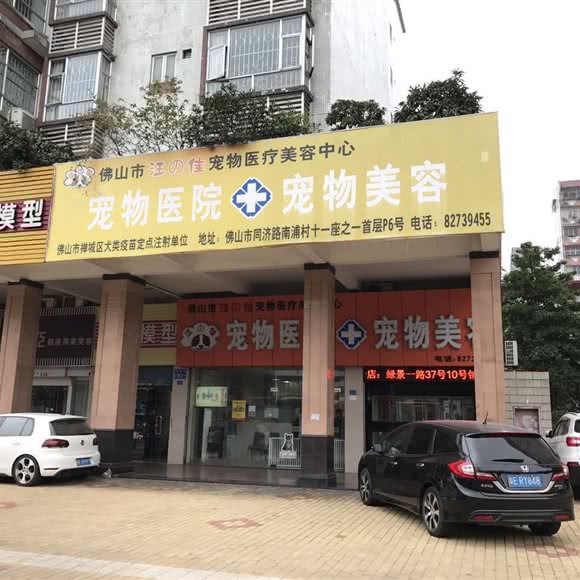 汪之佳宠物医疗美容中心:佛山市禅城区普君新城/市政府附近