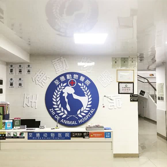 至德动物医院:佛山市禅城区季华六路沿线附近