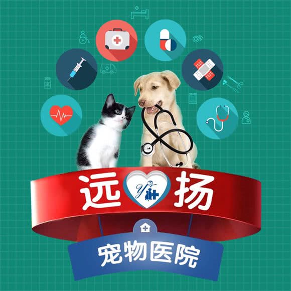 远扬宠物医院骨外科猫科中心(绿景分院):佛山市禅城区丽日玫瑰附近