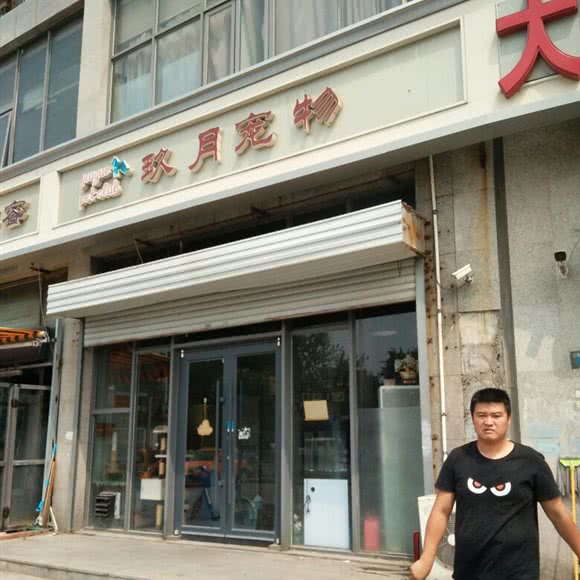 玖月宠物:天津城区滨海新区塘沽城区附近