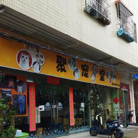 聚宠堂:佛山市禅城区张槎附近
