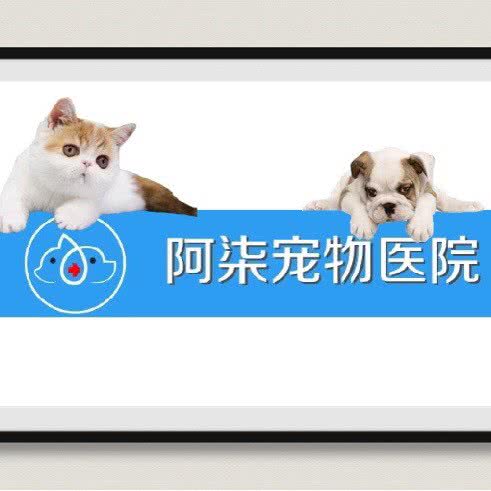 阿柒宠物医院:佛山市禅城区张槎附近