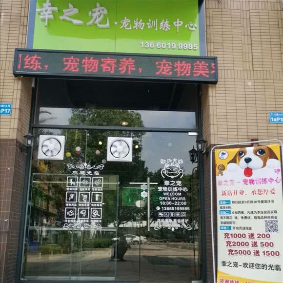 幸之宠犬只训练中心(佛山店):佛山市禅城区碧桂园附近
