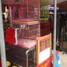 比瑞吉爱心宠物乐园:天津城区滨海新区塘沽城区附近