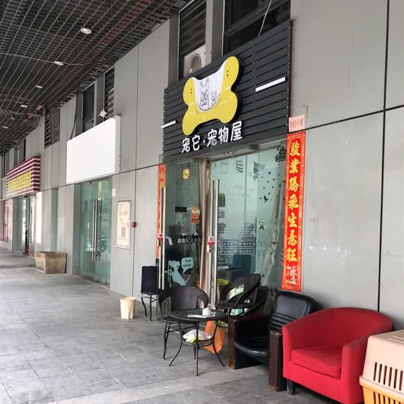 宠它宠物屋:佛山市禅城区碧桂园附近