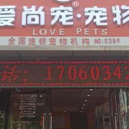 爱尚宠宠物:天津城区滨海新区塘沽城区附近