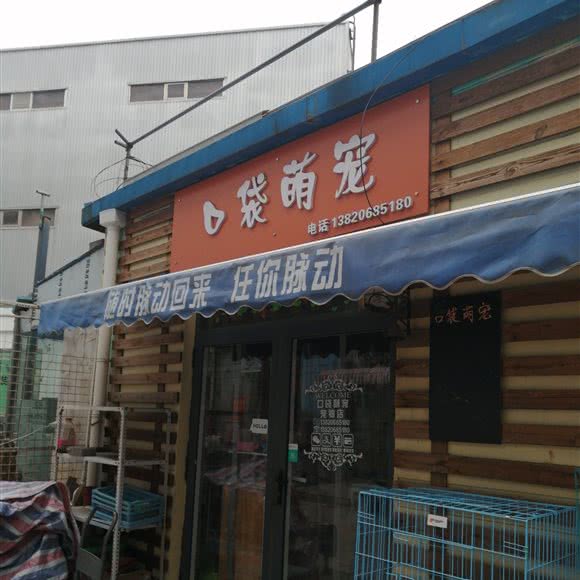口袋萌宠:天津城区滨海新区塘沽城区附近