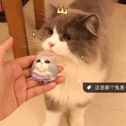 Fiona宠物食堂:佛山市禅城区澜石附近