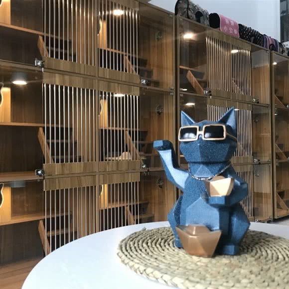 吉猫馆猫舍:佛山市禅城区澜石附近