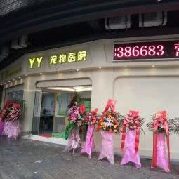 YY宠物医院:佛山市禅城区朝安地铁站附近