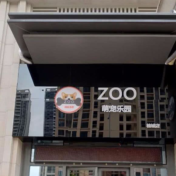 ZOO萌宠乐园:佛山市南海区万达广场/金融城附近
