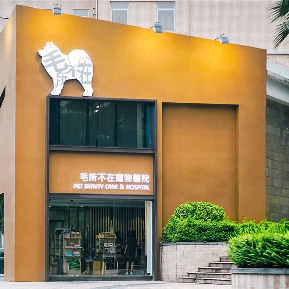 毛所不在宠物医院(千灯湖店):佛山市南海区千灯湖附近