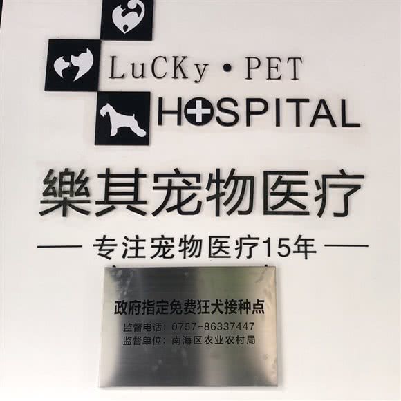 乐其狗狗医疗:佛山市南海区千灯湖附近
