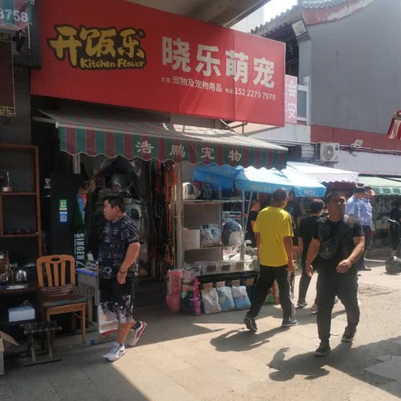 晓乐萌宠:天津城区滨海新区塘沽城区附近
