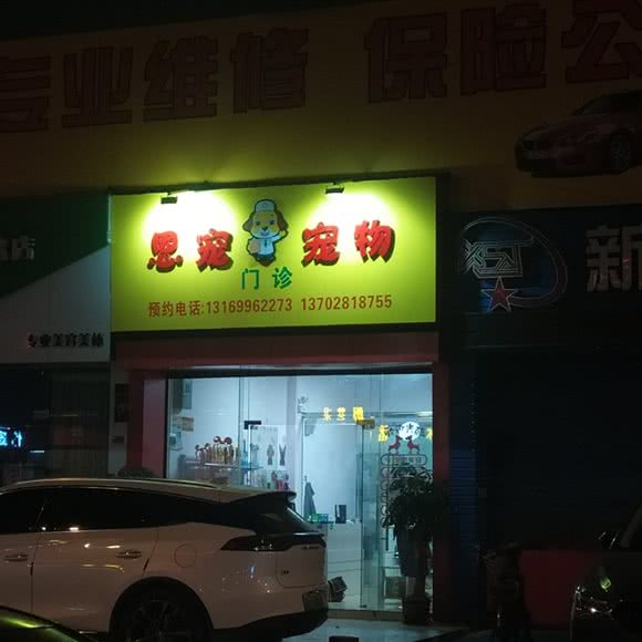 恩宠宠物:佛山市南海区大沥附近