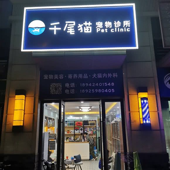 千尾猫宠物诊所:佛山市南海区大沥附近