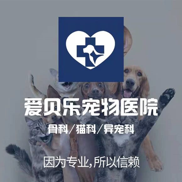 爱贝乐宠物医院骨外科·异宠·猫科转诊中心:佛山市南海区南海大道/南海广场附近
